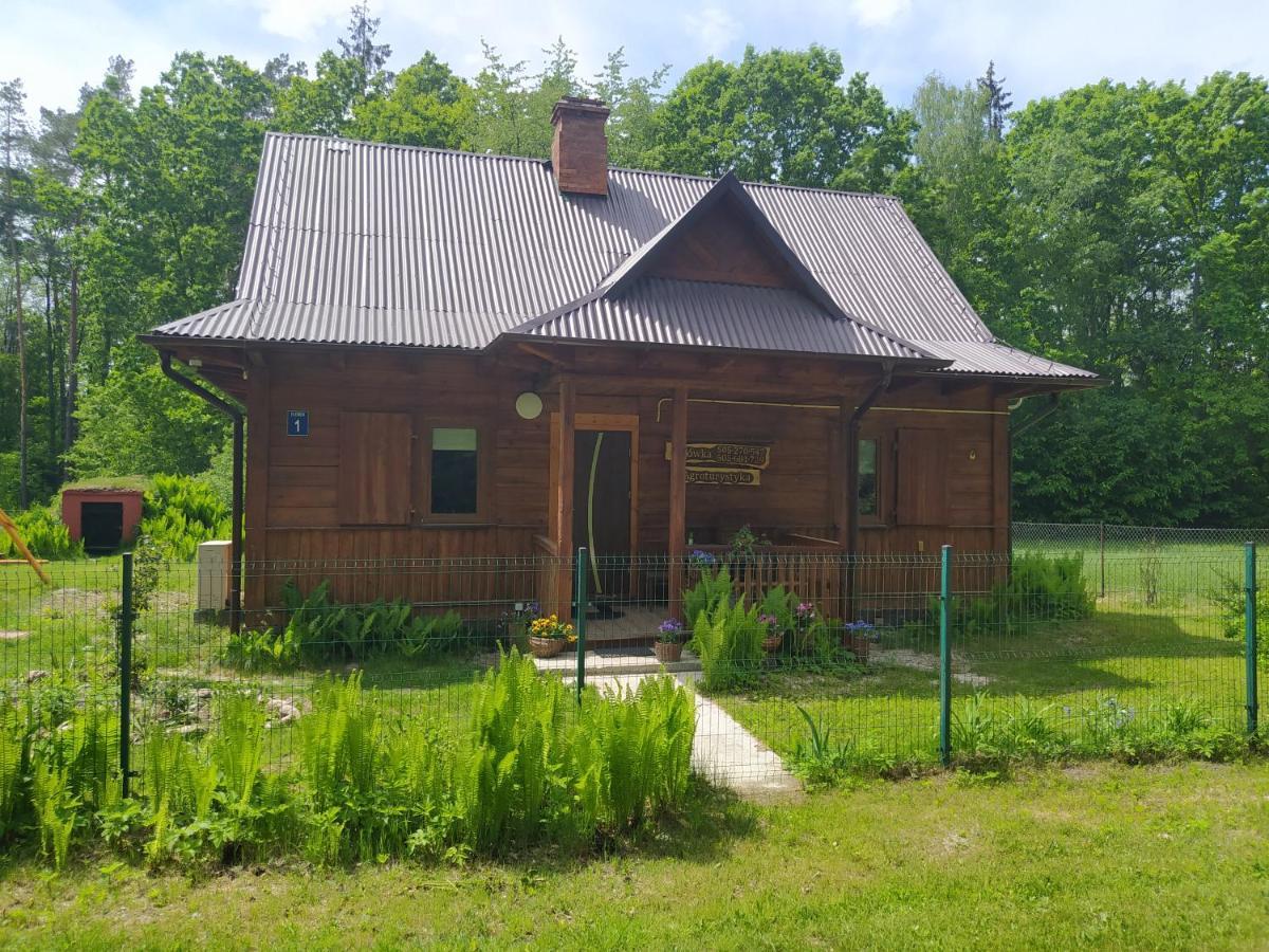 Gajowka Zlobek Villa Zlobek  Ngoại thất bức ảnh